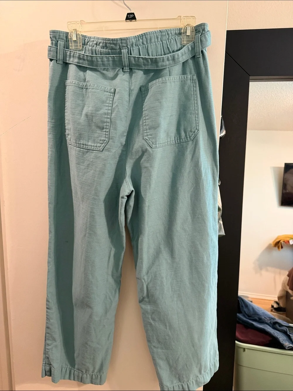 J. Crew Seafoam Green Drawstring Wide-Leg Pants